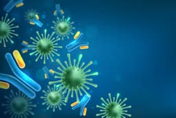 Efecto Antibacteriano