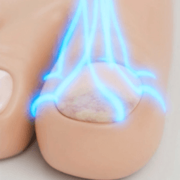 Estimulación Celular